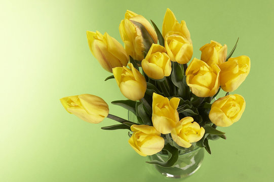 Fototapeta yellow bouquet