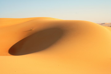 abu dhabi desert