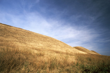 field and blue sky