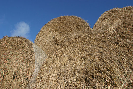 hay bales