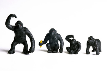 monkey © Ivan Grlic