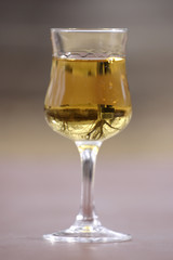 tree in a glass of whiskey