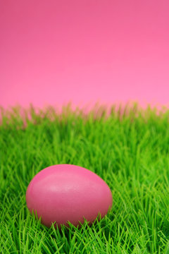 easter egg on grass