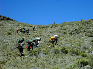 Fototapeta na wymiar mt.kilimanjaro