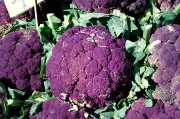 purple cauliflower