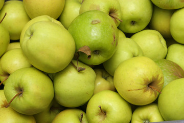 greenapples