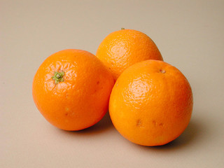 oranges maltaises