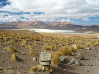 laguna morejon