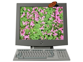 computer flat screen flower butterfly