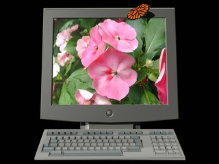 ordinateur fleuri