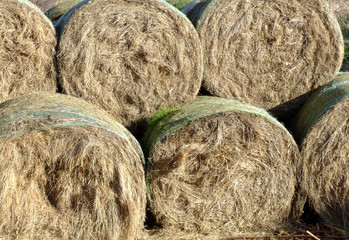 hay bales