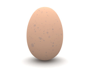 isolated egg