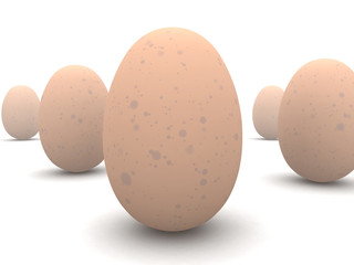 eggs