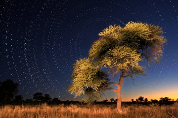 Foto auf Acrylglas star circles © EcoView