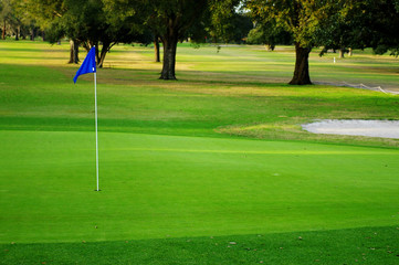 on the green