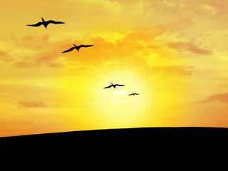 Fototapeta premium birds and sky