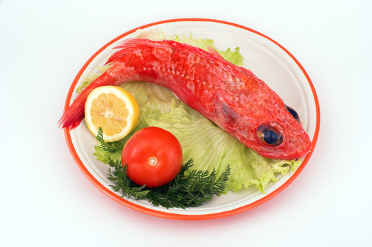 cabracho , pescado