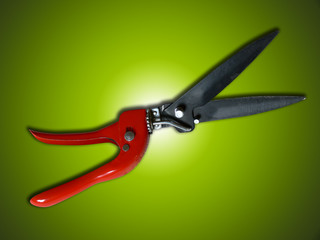 scissors_garden01