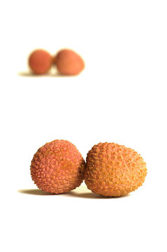 litchis duo x2