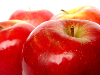 vitality and energy