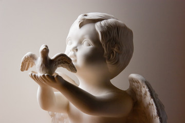 angel and dove