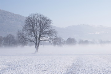 plaine sous le brouillard vosgien © Cattet Dominique