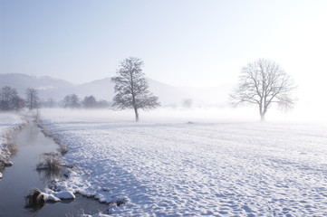 hivers rigoureux dans les vosges © Cattet Dominique
