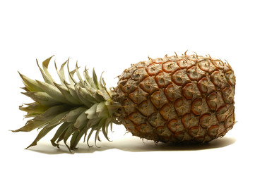 ananas g