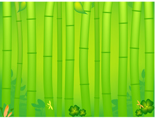tropical bamboo background