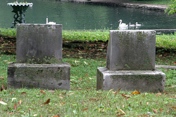 tombstones & swans