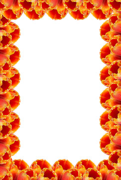 flower frame.
