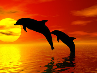 dauphins sauteurs