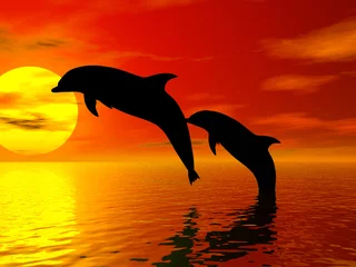 Schilderijen op glas springende dolfijnen © Stephen Coburn