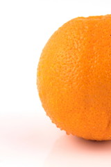 orange sliced portrait