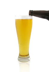 woman pouring beer