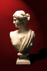 statue bust of a roman goddess