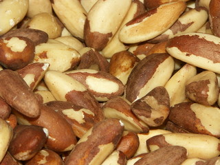 Des noix de cajou