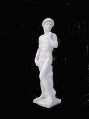 david