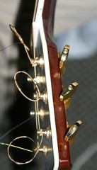Fototapeta premium guitar neck