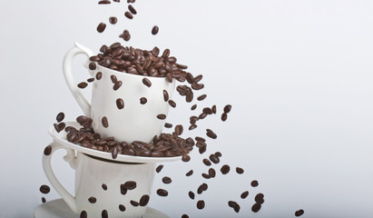 coffee bean falls