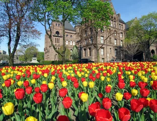 Photo sur Plexiglas Tulipe tulip garden ontario parliament