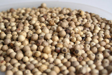 white pepper