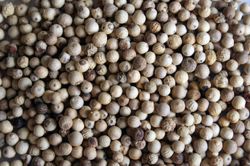white pepper