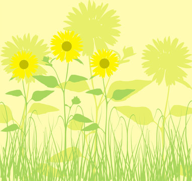 background with sunflowers,