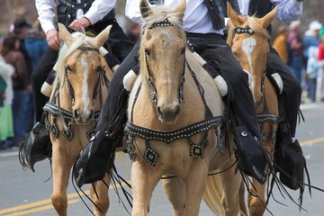 Fototapeta premium cowboys & horses 2