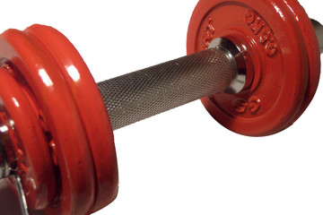 musculation