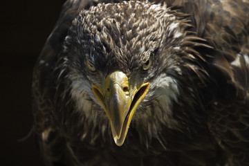tiefer blick