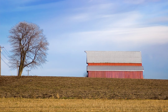 red barn and tree on winter farmland