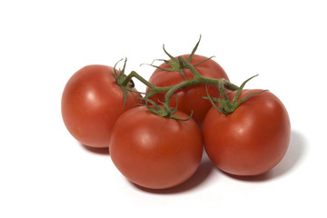 isolated tomato