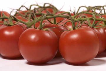 tomato